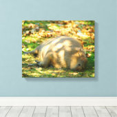 Cute Capybara Dreams in de zomer van de zon Canvas Afdruk (Insitu (Houten vloer))