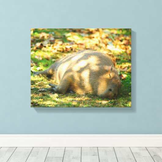 Cute Capybara Dreams in de zomer van de zon Canvas Afdruk (Insitu (Houten vloer))