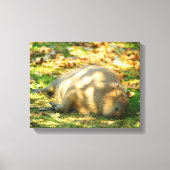 Cute Capybara Dreams in de zomer van de zon Canvas Afdruk (Voorkant)