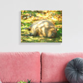 Cute Capybara Dreams in de zomer van de zon Canvas Afdruk (Insitu (Woonkamer))