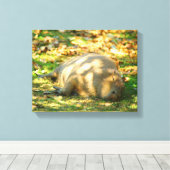 Cute Capybara Dreams in de zomer van de zon Canvas Afdruk (Insitu (Houten vloer))