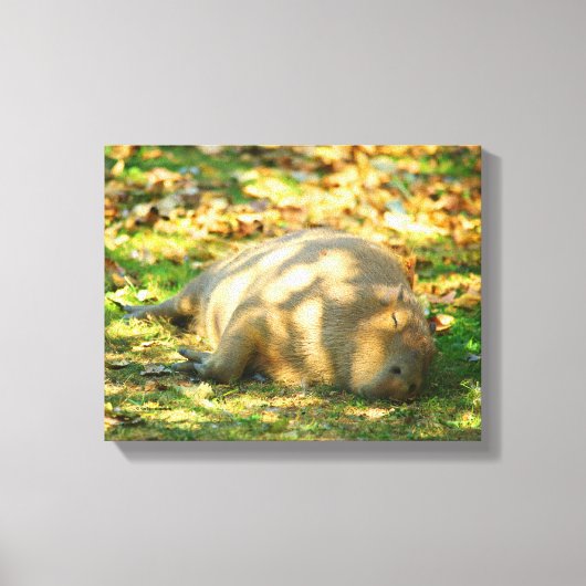 Cute Capybara Dreams in de zomer van de zon Canvas Afdruk (Voorkant)
