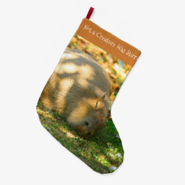 Cute Capybara Dreams in de zomer van de zon Grote Kerstsok