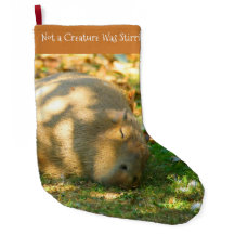 Cute Capybara Dreams in de zomer van de zon