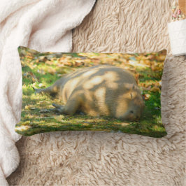 Cute Capybara Dreams in de zomer van de zon Kussen