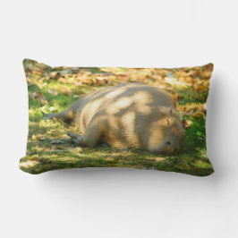 Cute Capybara Dreams in de zomer van de zon Kussen