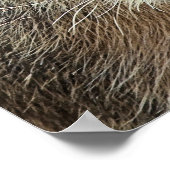 CUTE CAPYBARA POSTER (Hoek)