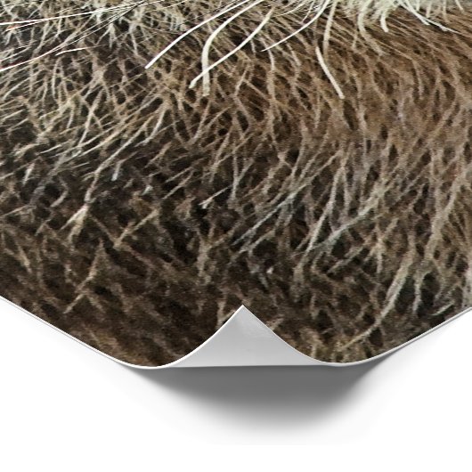 CUTE CAPYBARA POSTER (Hoek)