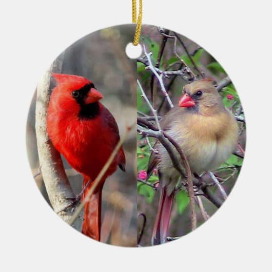 Cute Cardinals Keramisch Ornament (Voorkant)