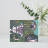 Cute Carolina Duck DIY Briefkaart (Staand voorkant)