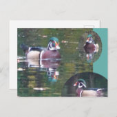 Cute Carolina Duck DIY Briefkaart (Voorkant / Achterkant)