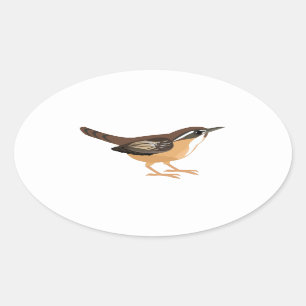 Cute Carolina Wren Ovale Sticker