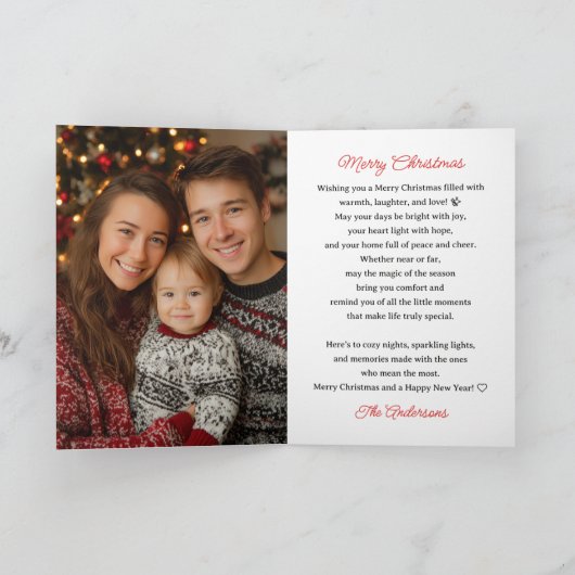 Cute Cartoon Birds Retro Merry Christmas Photo Feestdagen Kaart (Binnen)