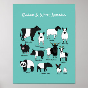 Cute Cartoon Black & White Animals poster