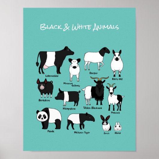 Cute Cartoon Black & White Animals poster (Voorkant)