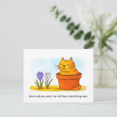Cute Cartoon Cat Sitting in Spring Flowers Briefkaart (Staand voorkant)