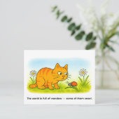 Cute Cartoon Cat Watching Ladybug in Meadow Briefkaart (Staand voorkant)