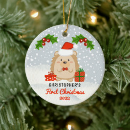 Cute Cartoon Hedégel Baby's eerste kerstfoto Keramisch Ornament