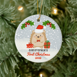 Cute Cartoon Hedégel Baby's eerste kerstfoto Keramisch Ornament