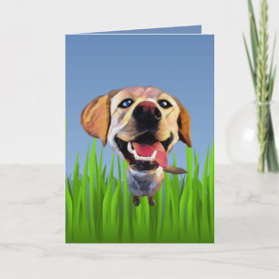 Cute Cartoon Labrador Retriever Wenskaart Kaart