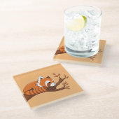 Cute Cartoon Red Panda in de boom Glazen Onderzetter (Schuin)