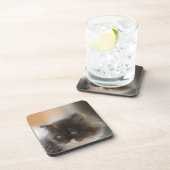 Cute Cat Bier Onderzetter (Rechterzijde)