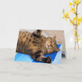 Cute Cat Big Hugs Birthday Kaart (Gele Bloem)