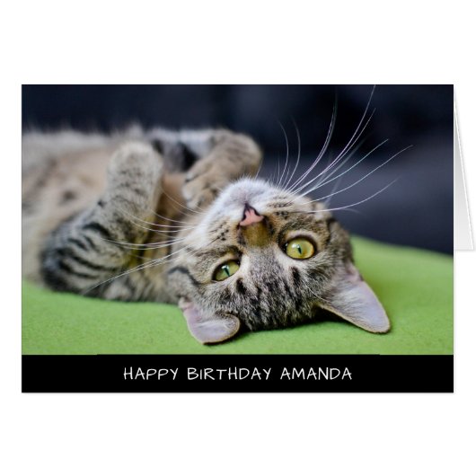 Cute Cat Birthday Card (Voorkant Horizontaal)