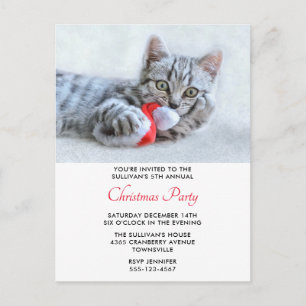 Cute Cat Biting Red Santa Hat Xmas Briefkaart