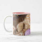 Cute Cat Black 11 oz Two-Tone Mok (Links)