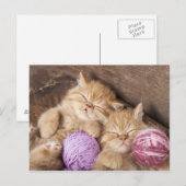 Cute Cat Briefkaart (Voorkant / Achterkant)