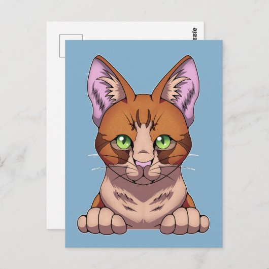 Cute Cat Briefkaart (Voorkant / Achterkant)