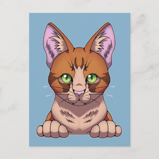 Cute Cat Briefkaart (Voorkant)