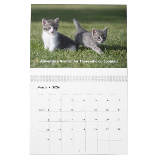 Cute Cat Calendar Kalender (Mar 2026)