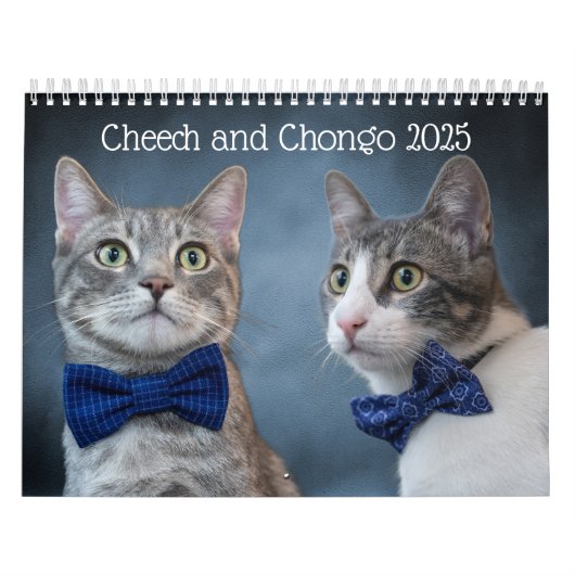 Cute Cat Calendar Kalender (Hoes)