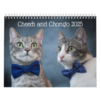 Cute Cat Calendar Kalender