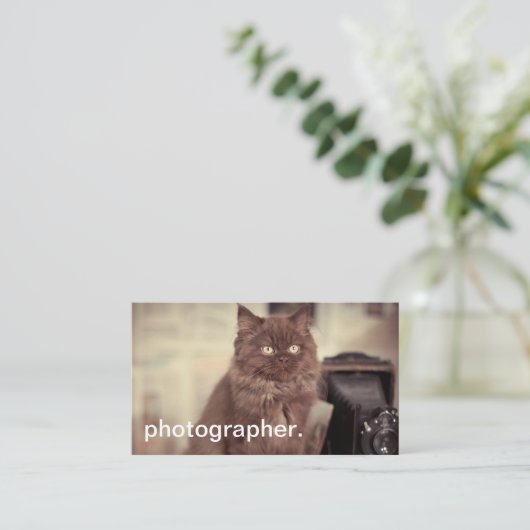 Cute Cat  Camera Fotograaf Visitekaartje (Staand voorkant)