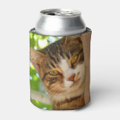 Cute Cat Climbing a Tree Blikjeskoeler (Blikje Voorkant)