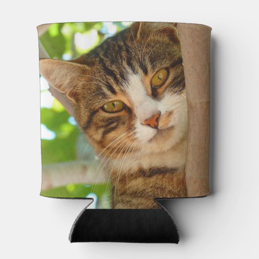 Cute Cat Climbing a Tree Blikjeskoeler (Achterkant)