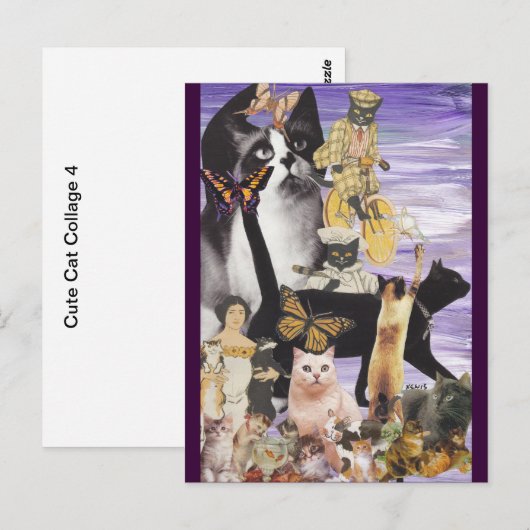 Cute Cat Collage 4 Briefkaart (Voorkant / Achterkant)
