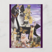 Cute Cat Collage 4 Briefkaart (Voorkant)