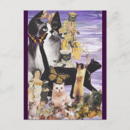 Cute Cat Collage 4 Briefkaart