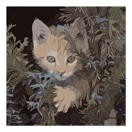 Cute Cat Collectie 3 Perfect Poster (Voorkant)