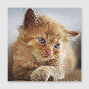 Cute Cat Collectie 6