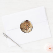 Cute Cat Collectie Ronde Sticker (Envelop)