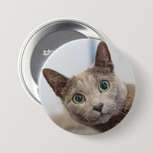 Cute cat-custom pet foto Button (Voorkant /achterkant)