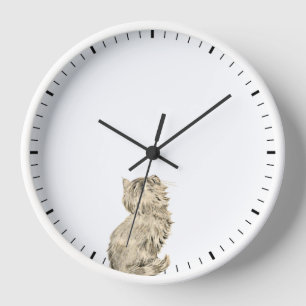 Cute Cat die de handen van de klok bekijkt - Humor