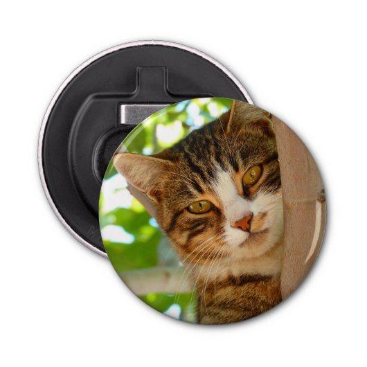 Cute Cat die een boom klimt Button Flesopener (Voorkant)