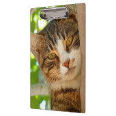 Cute Cat die een boom klimt Klembord (Links)