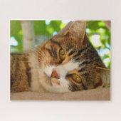 Cute Cat die een boom klimt Legpuzzel (Horizontaal)